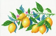 Лимонная гармония Канва с рисунком для вышивки МП Студия СК-098